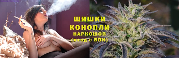 МДПВ Осинники
